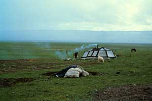 A typical Tibetan tent in the region