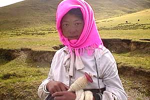 A young shepherdess spins sheep wool into yarn while 
tending her flock.